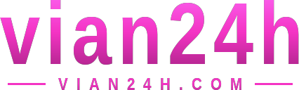 vian24h logo